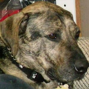 Meet your Posher, Mike